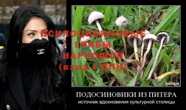 амф Няндома